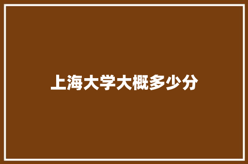 上海大学大概多少分