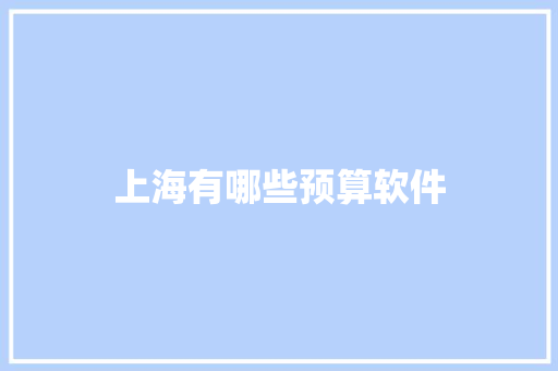 上海有哪些预算软件
