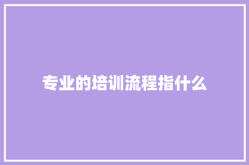 专业的培训流程指什么