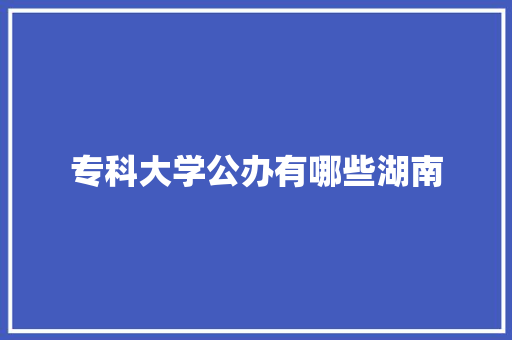 专科大学公办有哪些湖南