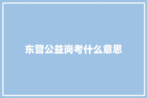 东营公益岗考什么意思