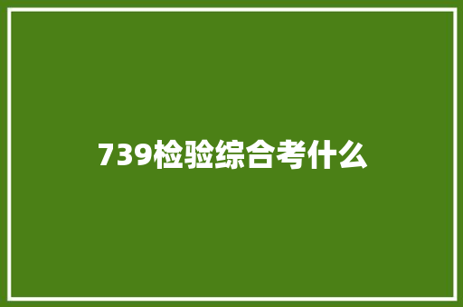 739检验综合考什么