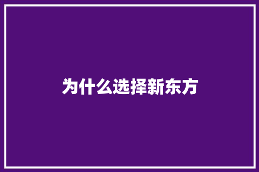 为什么选择新东方