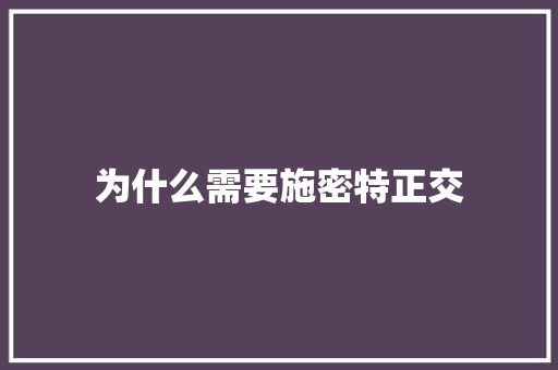 为什么需要施密特正交