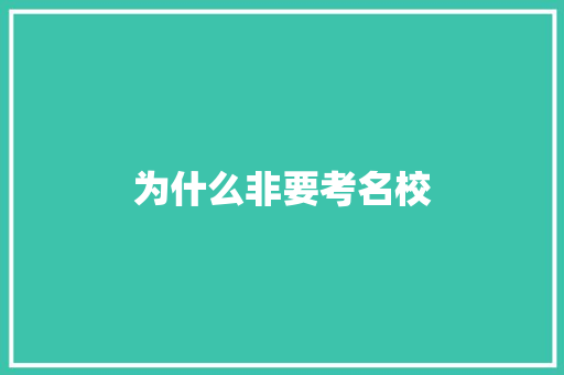 为什么非要考名校
