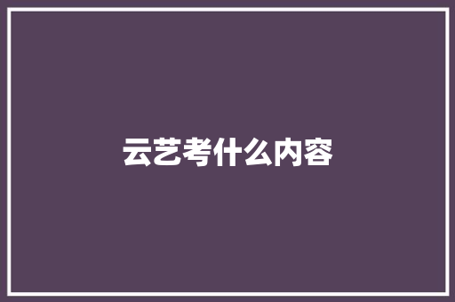 云艺考什么内容