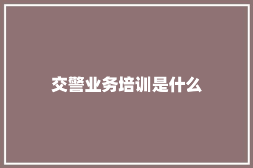 交警业务培训是什么