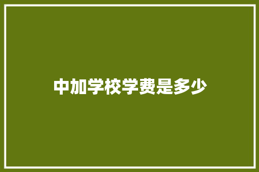 中加学校学费是多少