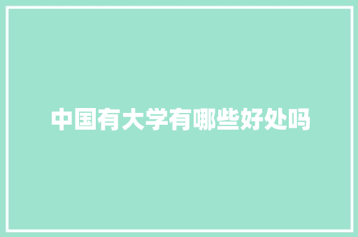 中国有大学有哪些好处吗