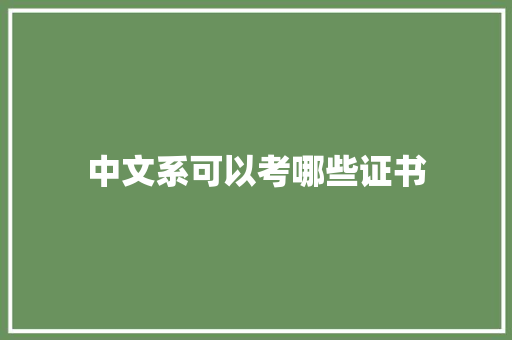 中文系可以考哪些证书