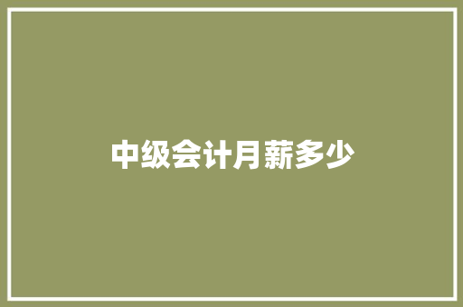 中级会计月薪多少