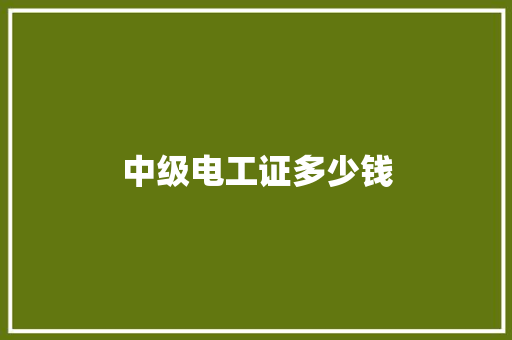 中级电工证多少钱
