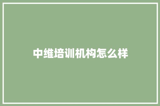中维培训机构怎么样