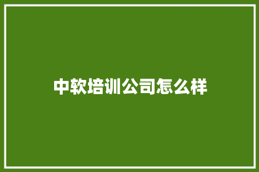 中软培训公司怎么样