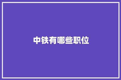 中铁有哪些职位