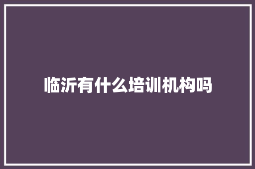临沂有什么培训机构吗