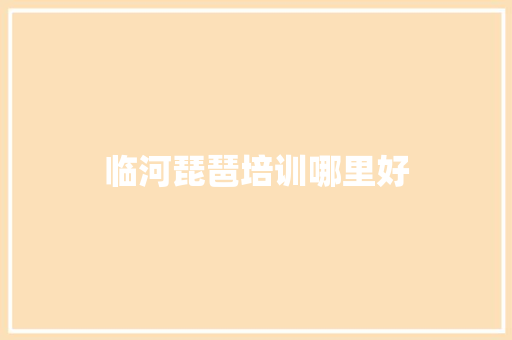 临河琵琶培训哪里好