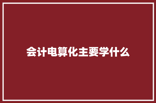 会计电算化主要学什么