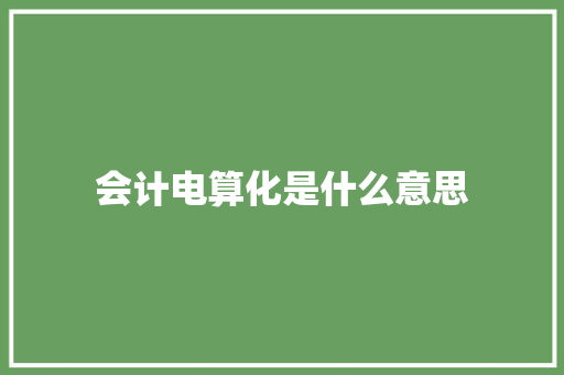 会计电算化是什么意思