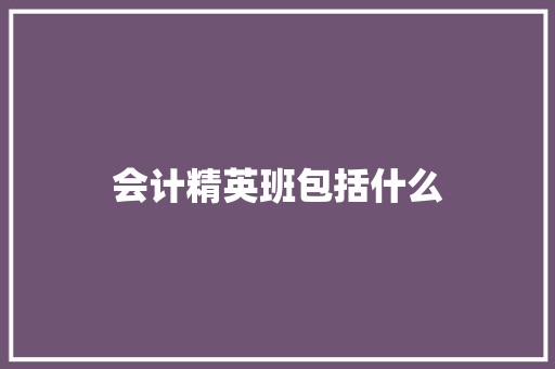 会计精英班包括什么