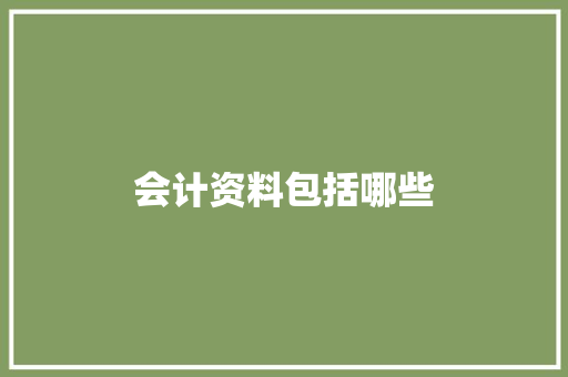 会计资料包括哪些