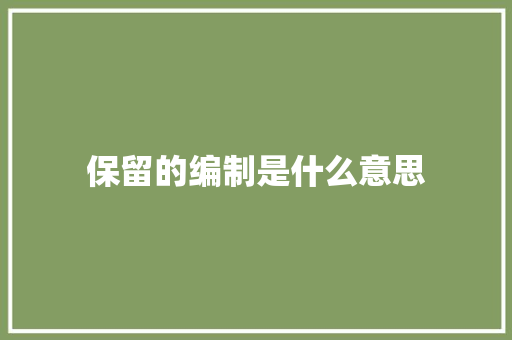 保留的编制是什么意思