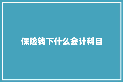 保险钱下什么会计科目 商业计划书范文