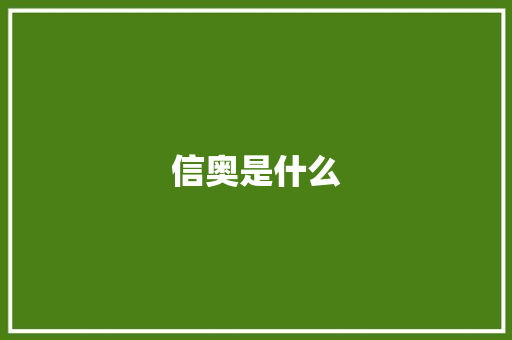 信奥是什么