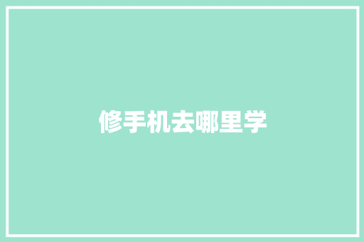 修手机去哪里学