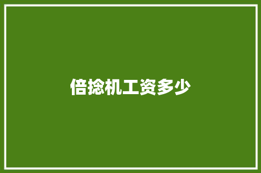 倍捻机工资多少