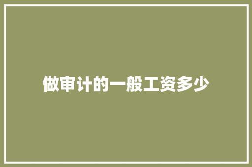 做审计的一般工资多少