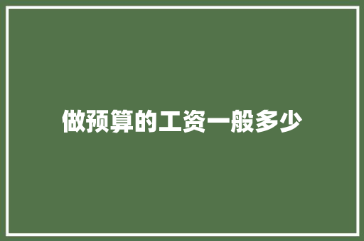 做预算的工资一般多少