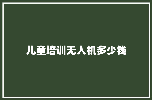 儿童培训无人机多少钱
