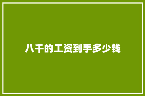 八千的工资到手多少钱