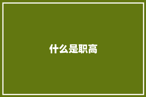 什么是职高 应用文范文