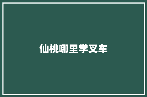 仙桃哪里学叉车