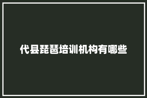 代县琵琶培训机构有哪些