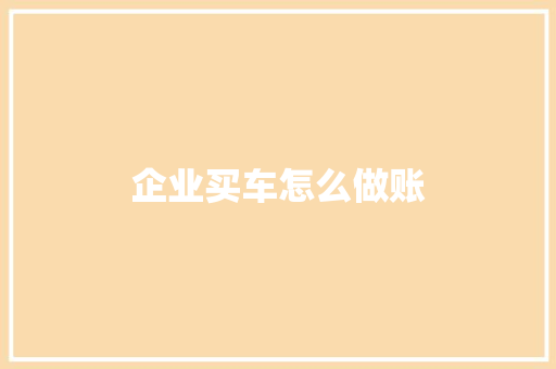 企业买车怎么做账