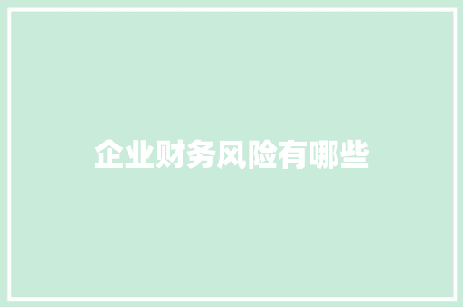 企业财务风险有哪些
