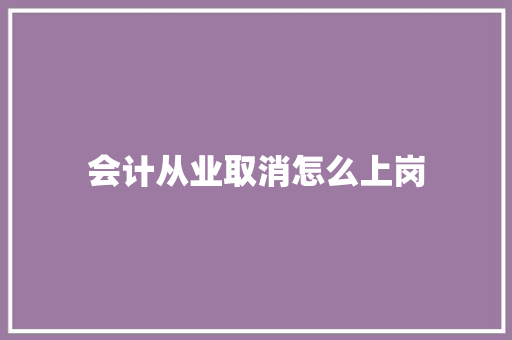 会计从业取消怎么上岗