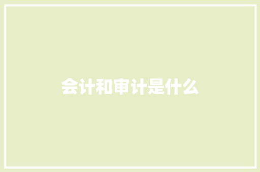 会计和审计是什么
