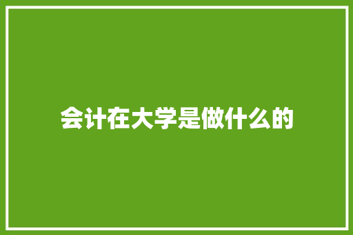 会计在大学是做什么的