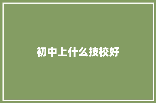 初中上什么技校好 散文范文