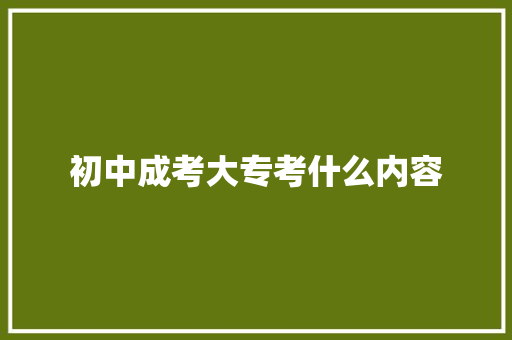 初中成考大专考什么内容