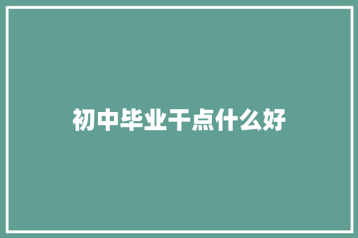 初中毕业干点什么好