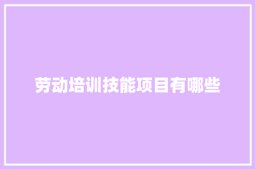 劳动培训技能项目有哪些