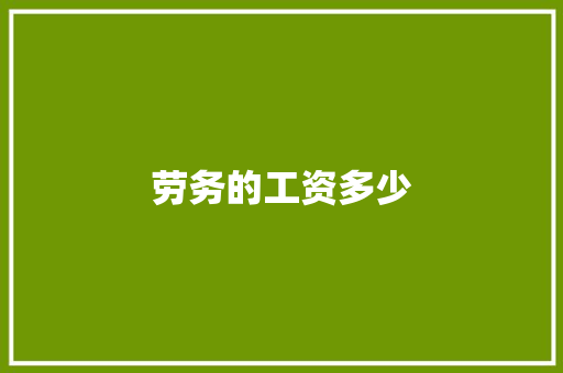 劳务的工资多少