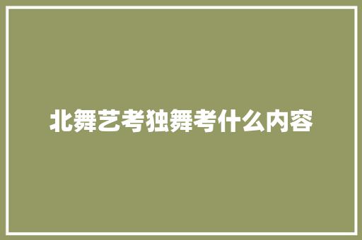 北舞艺考独舞考什么内容