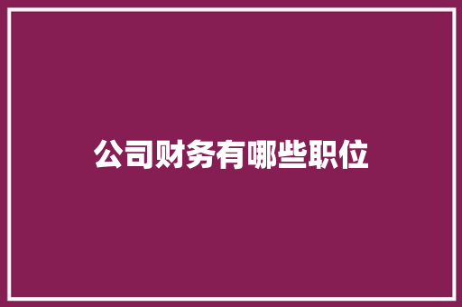 公司财务有哪些职位