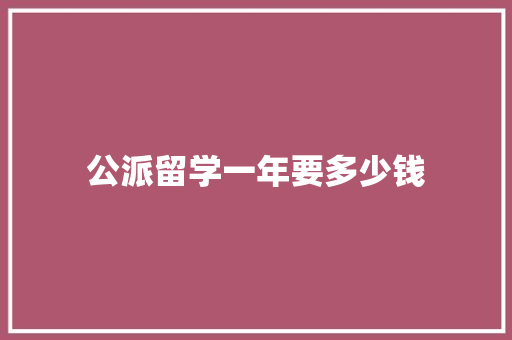 公派留学一年要多少钱